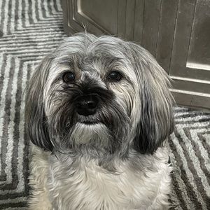 Meet your Posher, Pablo